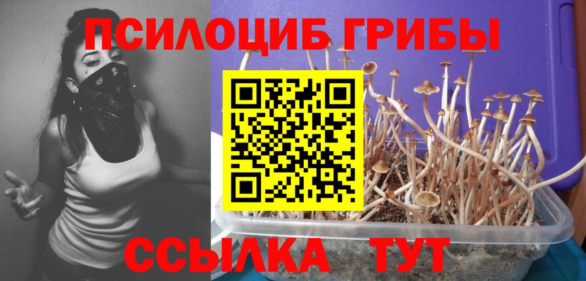 Галлюциногенные грибы Cubensis Новый Уренгой