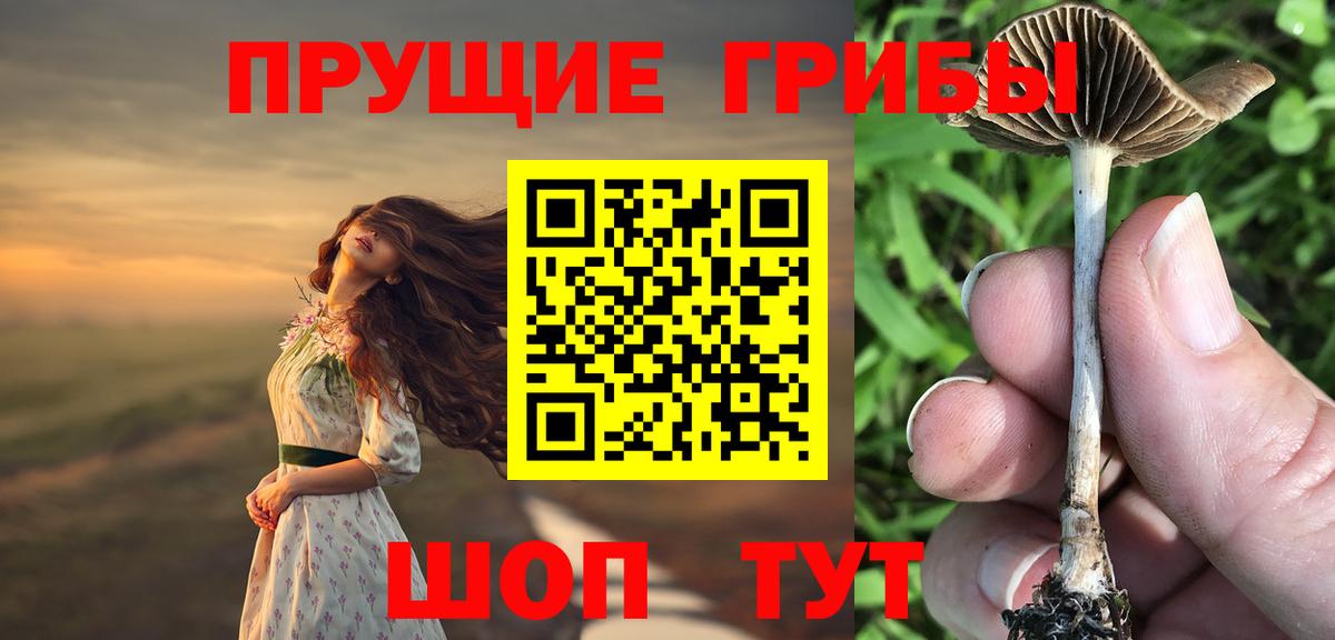 Псилоцибиновые грибы мухоморы  Вход с VPN  Новый Уренгой 